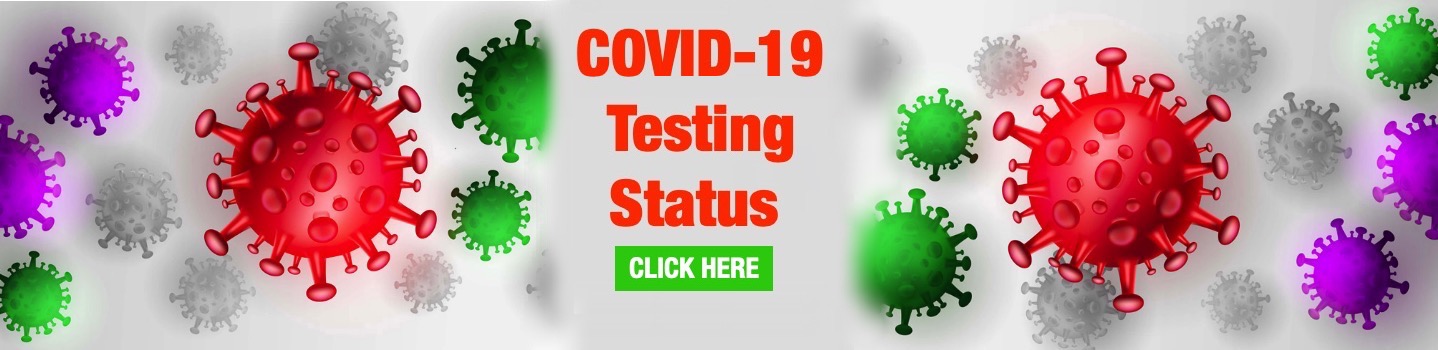 Covid-19 Testing Status