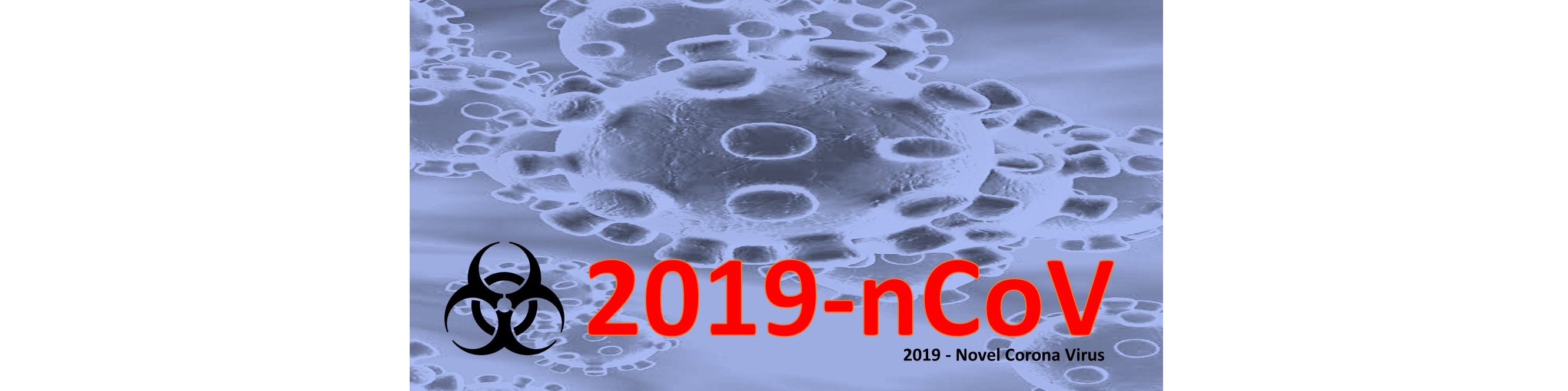 2019-novel Corona Virus